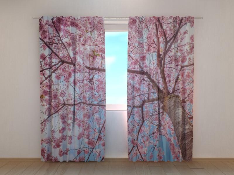 Dienas un nakts aizkari - Sakuras ziedēšana no apakšas uz augšu 180 x 140 cm (2X 90x140 cm) / SCREEN E-interjers.lv