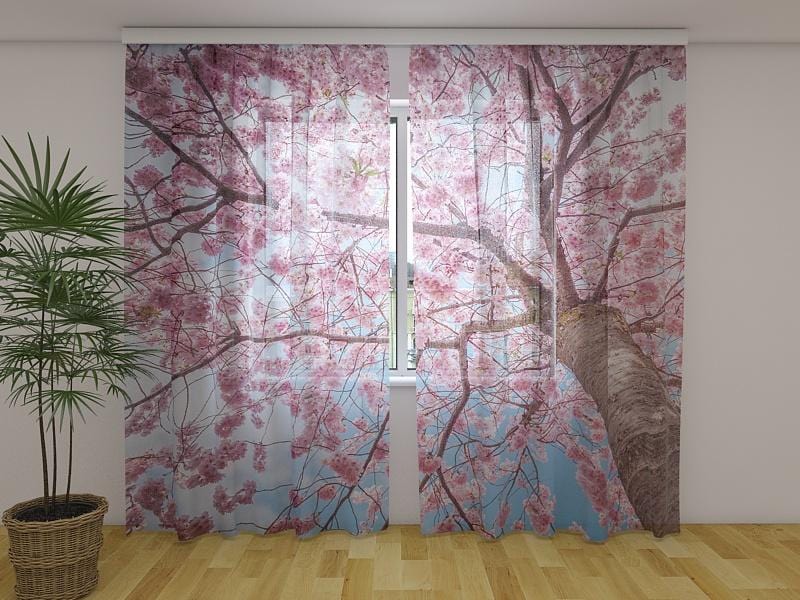 Dienas un nakts aizkari - Sakuras ziedēšana no apakšas uz augšu 180 x 140 cm (2X 90x140 cm) / Сaurspīdīgs šifons E-interjers.lv