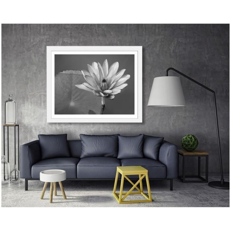 Glezna baltā rāmī - Water lily  Home Trends DECO