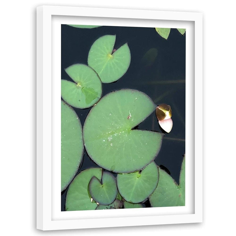 Glezna baltā rāmī - Water Lily Leaves  Home Trends DECO