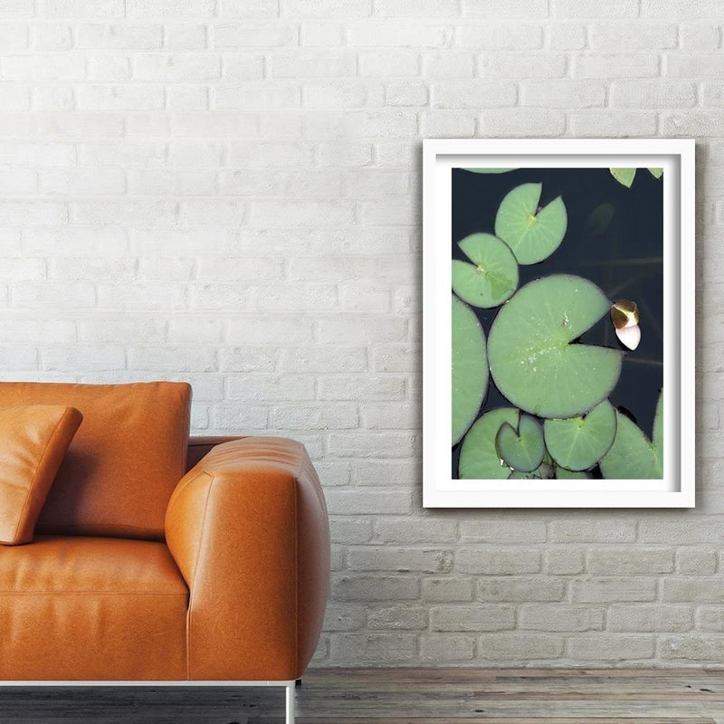 Glezna baltā rāmī - Water Lily Leaves  Home Trends DECO