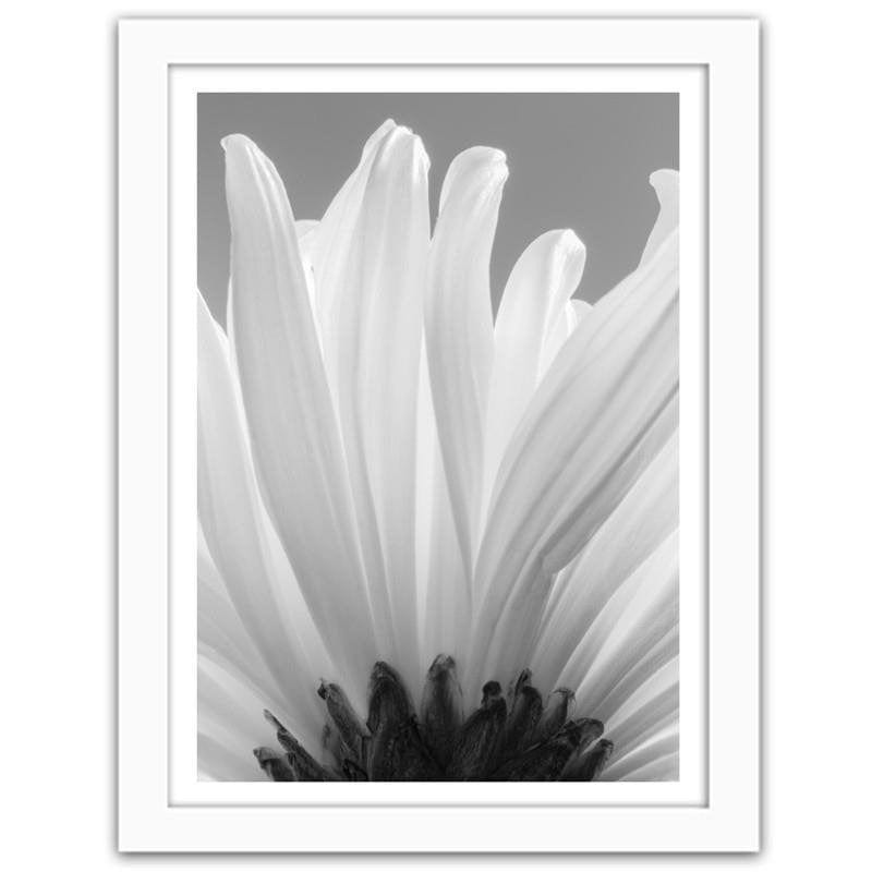 Glezna baltā rāmī - White chrysanthemums 2  Home Trends DECO