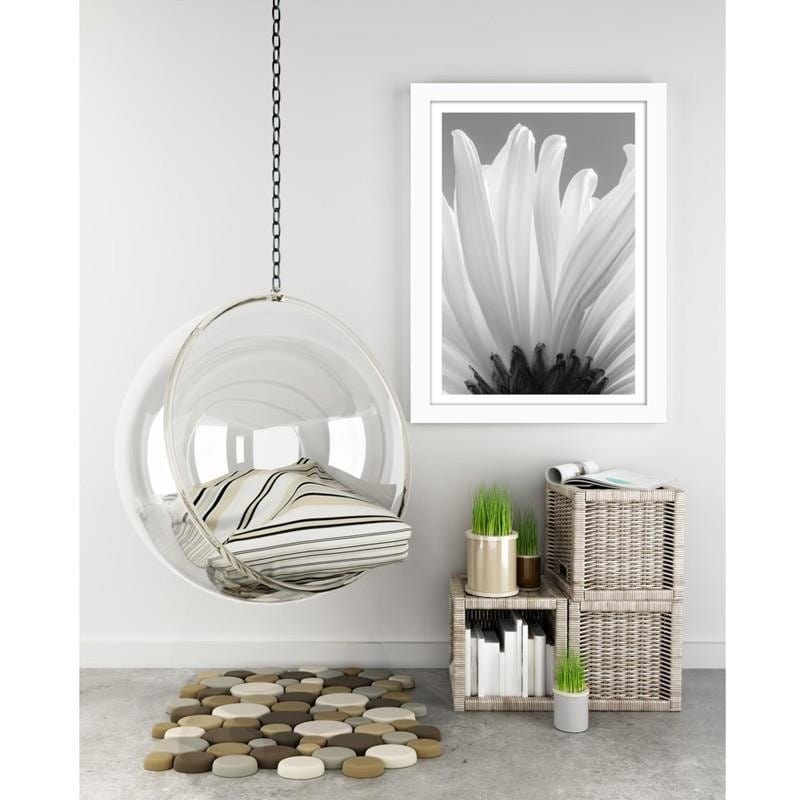 Glezna baltā rāmī - White chrysanthemums 2  Home Trends DECO