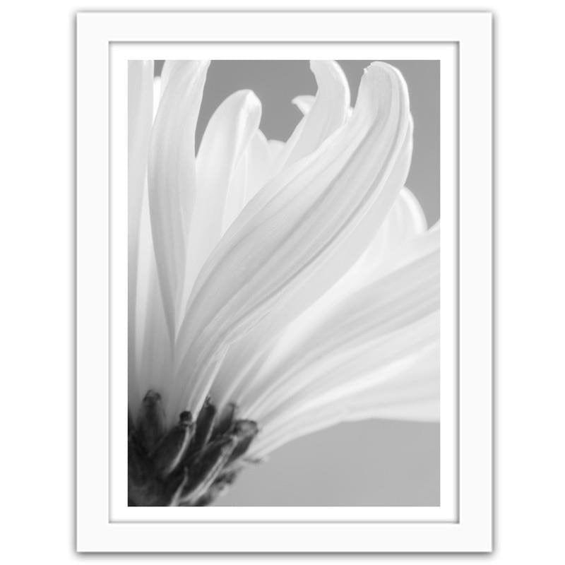 Glezna baltā rāmī - White chrysanthemums  Home Trends DECO