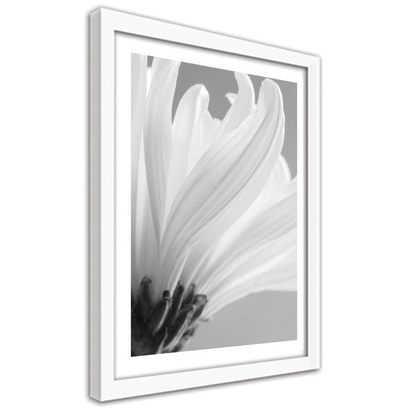 Glezna baltā rāmī - White chrysanthemums  Home Trends DECO