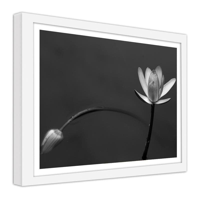 Glezna baltā rāmī - White flower 2  Home Trends DECO