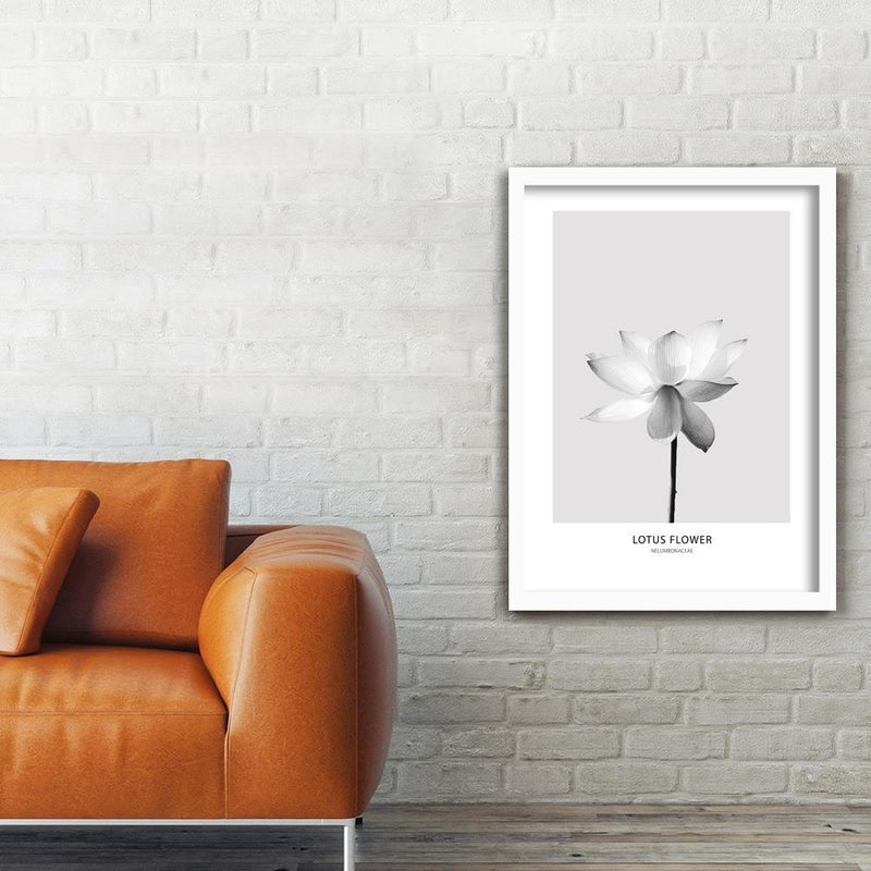 Glezna baltā rāmī - White Lotus Flower  Home Trends DECO