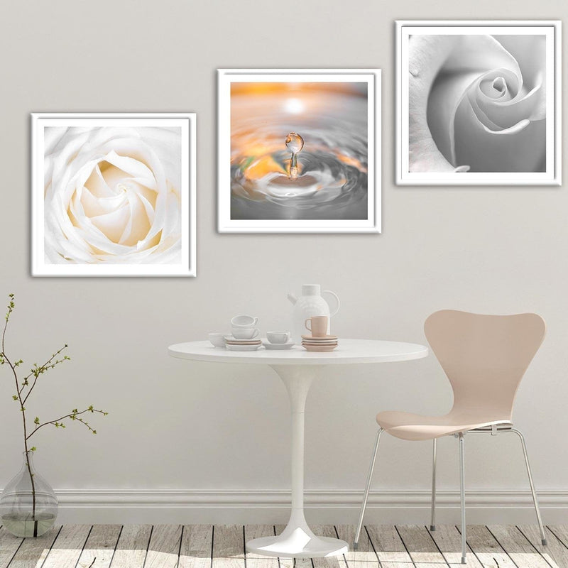 Glezna baltā rāmī - White Rose 2  Home Trends DECO