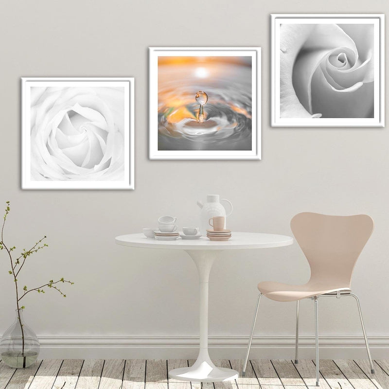 Glezna baltā rāmī - White Rose 3  Home Trends DECO