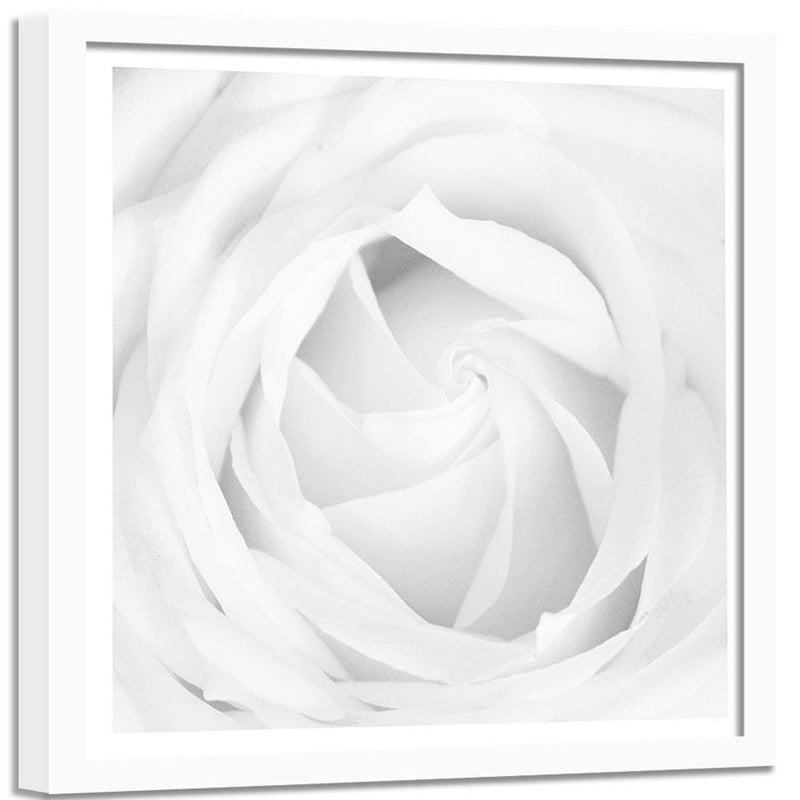 Glezna baltā rāmī - White Rose 4  Home Trends DECO