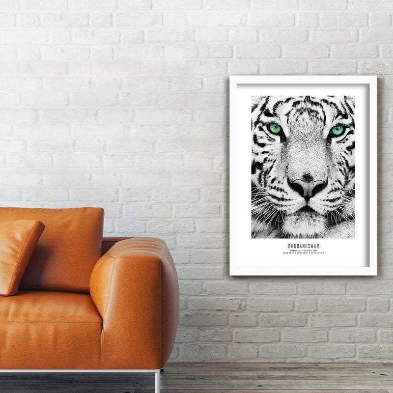 Glezna baltā rāmī - White Tiger  Home Trends DECO