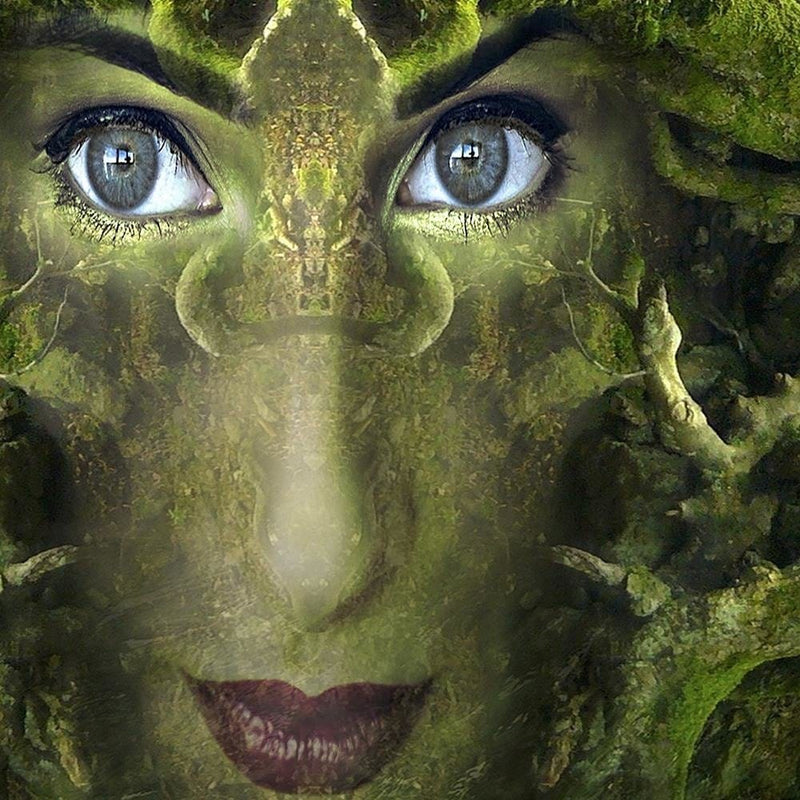 Glezna baltā rāmī - Woman's Face In Moss Fantasy  Home Trends DECO