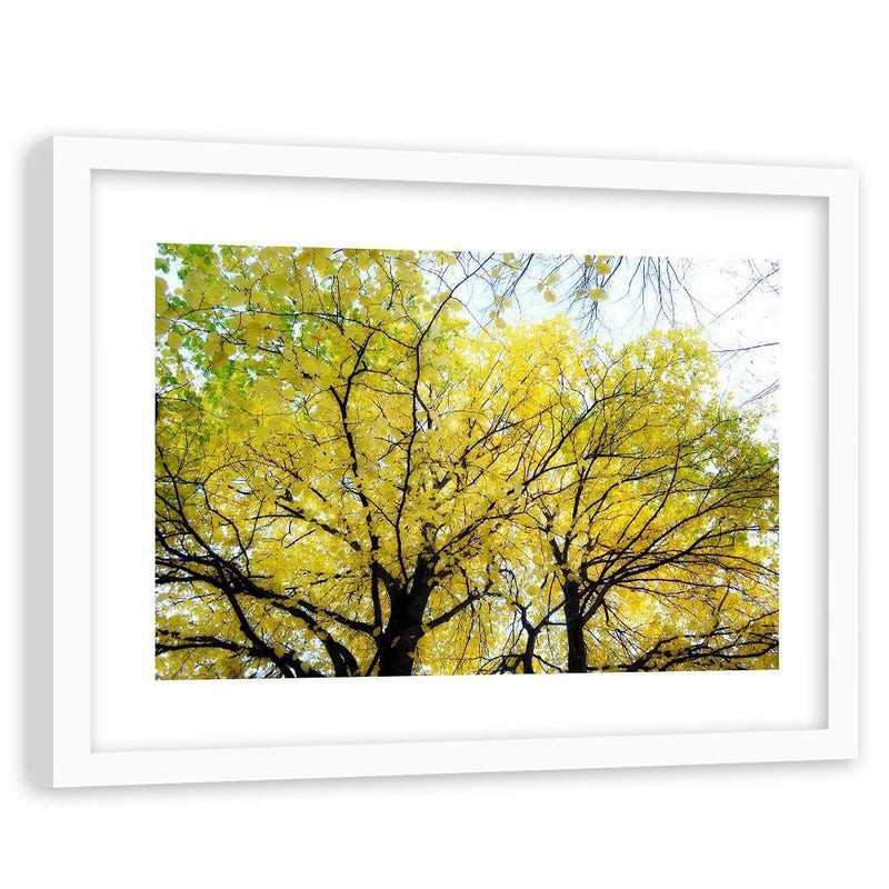 Glezna baltā rāmī - Yellow Leaves On A Tree  Home Trends DECO