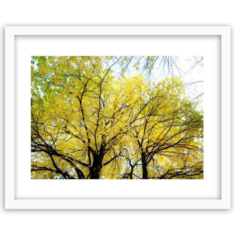 Glezna baltā rāmī - Yellow Leaves On A Tree  Home Trends DECO