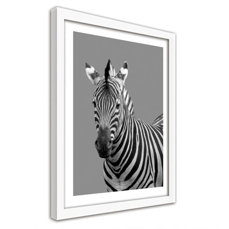 Glezna baltā rāmī - Zebra in black and white  Home Trends DECO