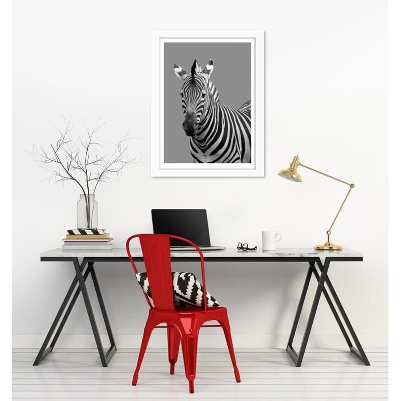 Glezna baltā rāmī - Zebra in black and white  Home Trends DECO