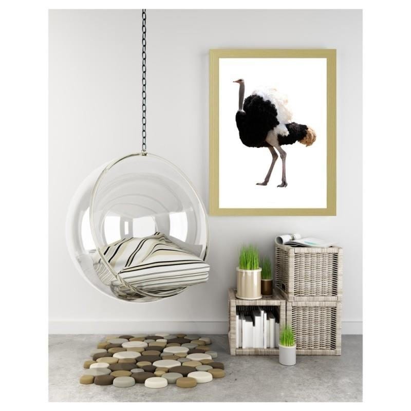 Glezna bēšā rāmī - An ostrich with beautiful feathers  Home Trends DECO