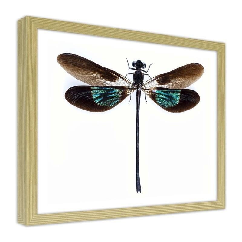 Glezna bēšā rāmī - Dragonfly  Home Trends DECO