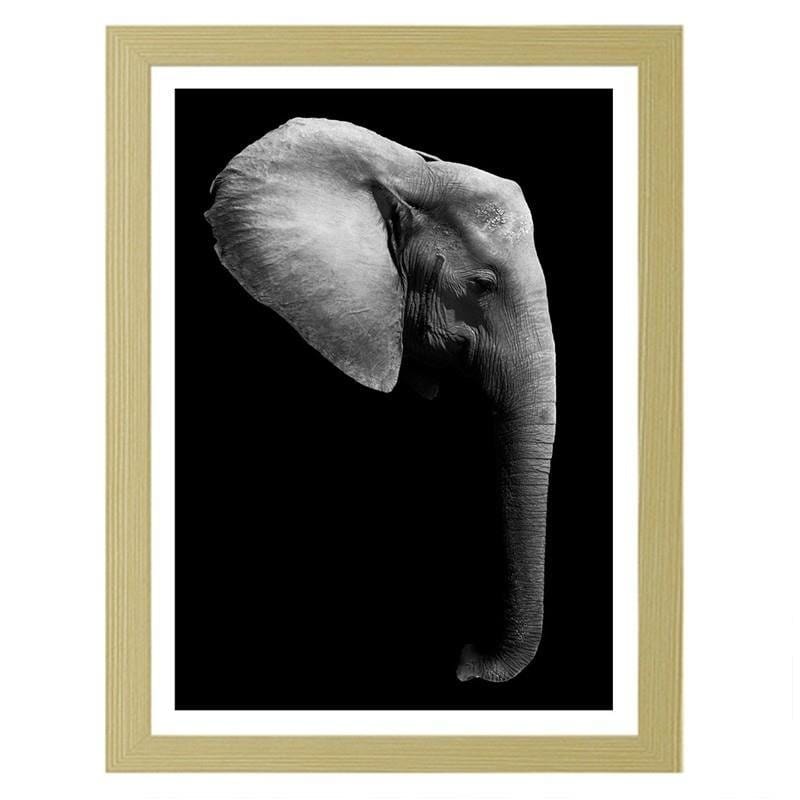 Glezna bēšā rāmī - Elephant in black and white  Home Trends DECO