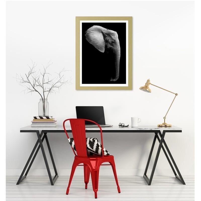 Glezna bēšā rāmī - Elephant in black and white  Home Trends DECO