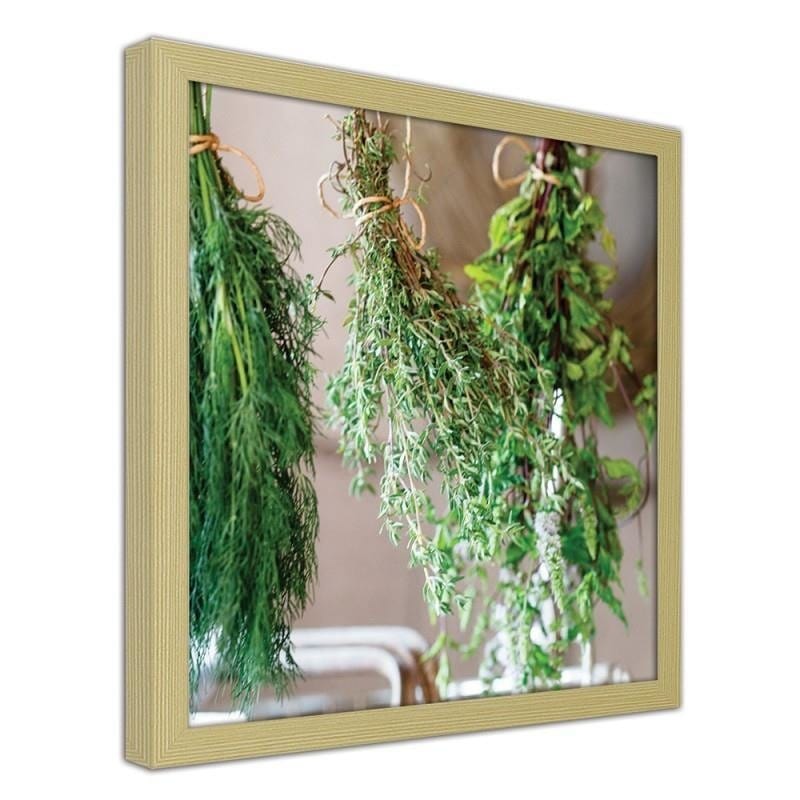 Glezna bēšā rāmī - Fresh herbs 2  Home Trends DECO