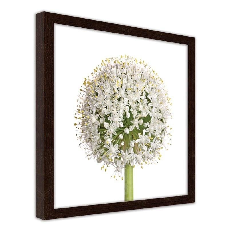 Glezna brūnā rāmī - White garlic flower  Home Trends DECO