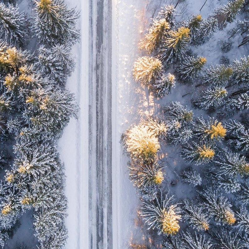 Glezna brūnā rāmī - Winter Forest With A Bird's Eye View  Home Trends DECO