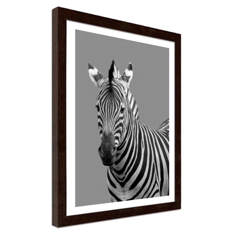 Glezna brūnā rāmī - Zebra in black and white  Home Trends DECO