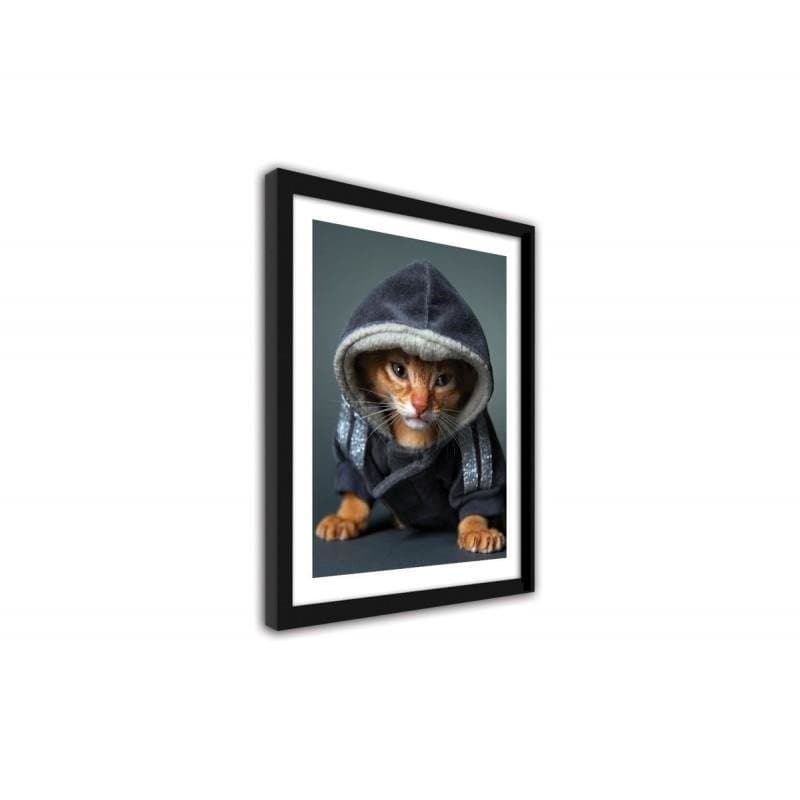 Glezna melnā rāmī - A kitten in a hooded cat  Home Trends