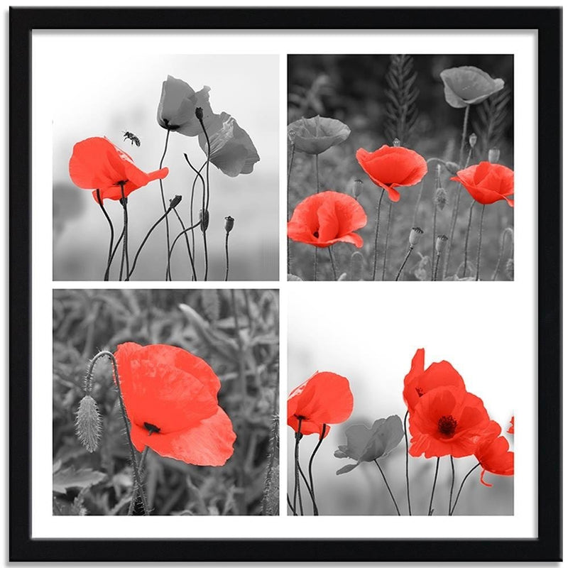 Glezna melnā rāmī - A Set Of Red Poppies  Home Trends