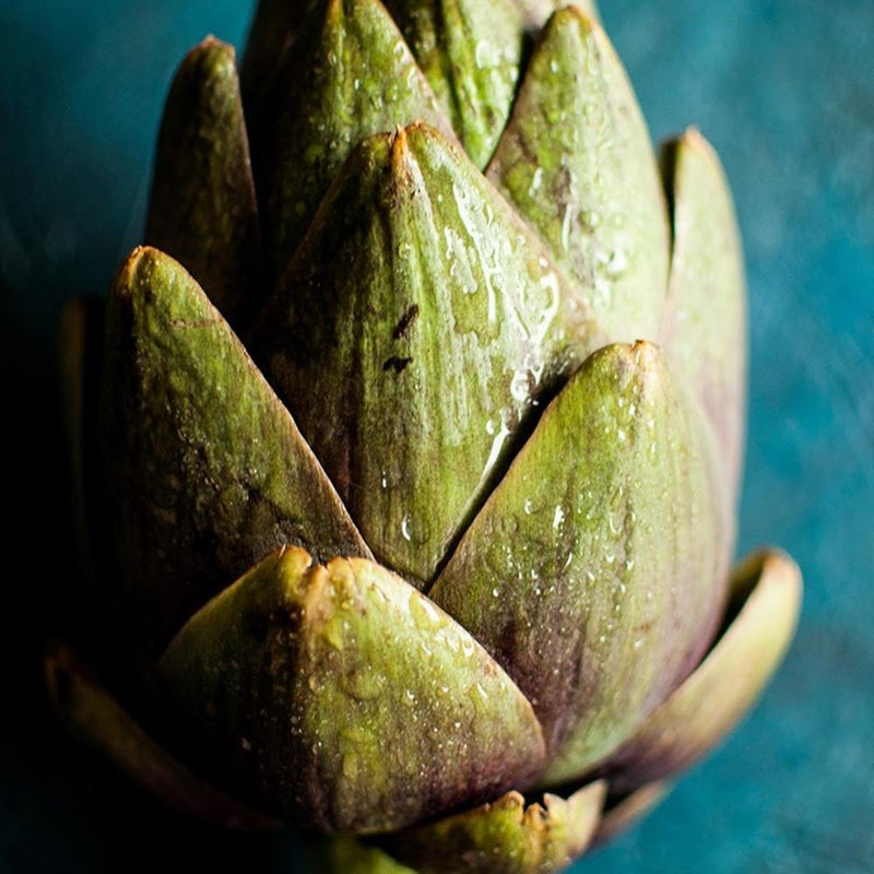 Glezna melnā rāmī - Artichoke  Home Trends