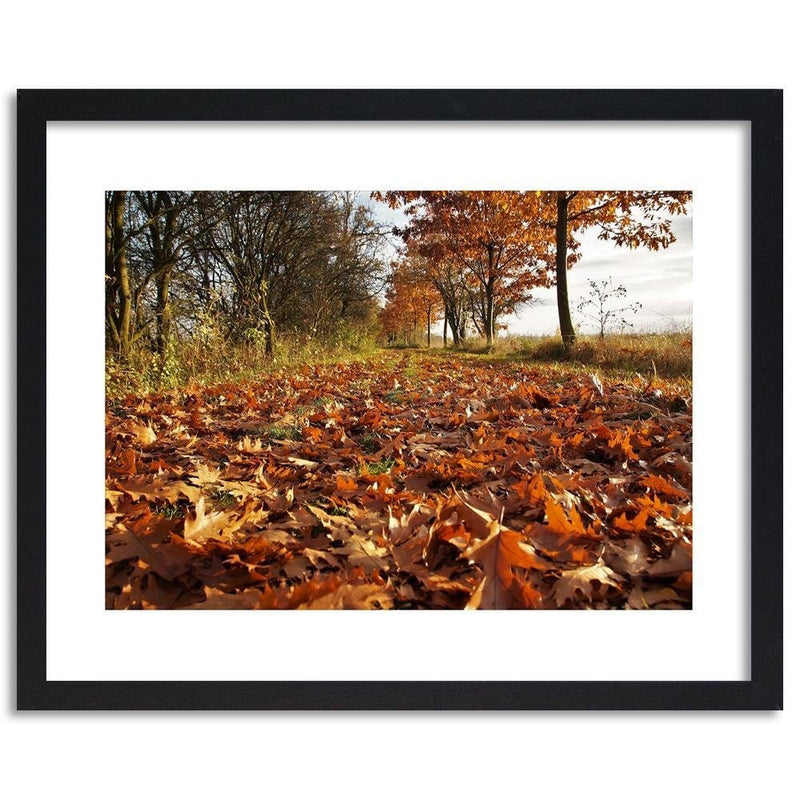 Glezna melnā rāmī - Autumn Leaves On The Forest Road  Home Trends