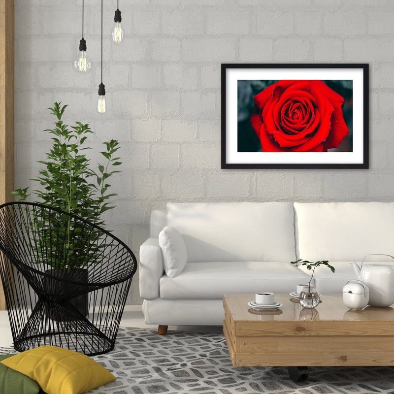 Glezna melnā rāmī - Beautiful Red Rose 2  Home Trends