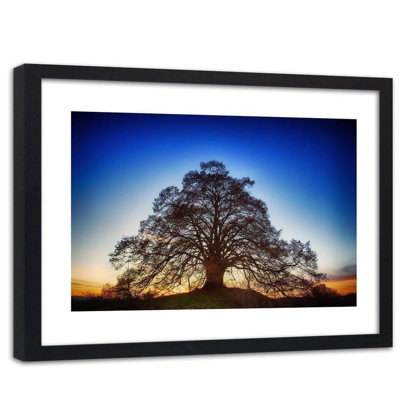 Glezna melnā rāmī - Big Tree At Dusk  Home Trends