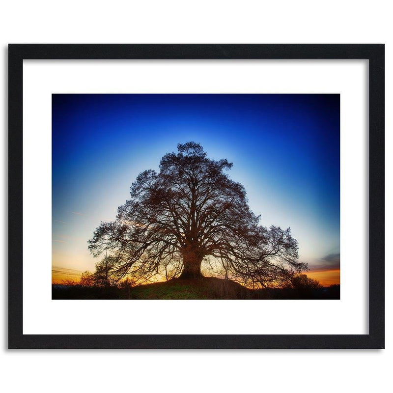 Glezna melnā rāmī - Big Tree At Dusk  Home Trends