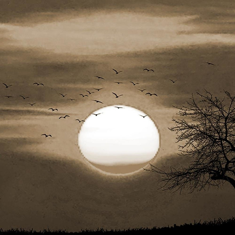 Glezna melnā rāmī - Birds At Sunset 1  Home Trends