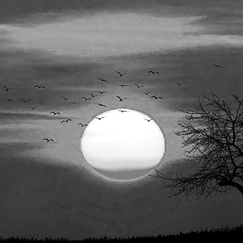 Glezna melnā rāmī - Birds At Sunset 2  Home Trends