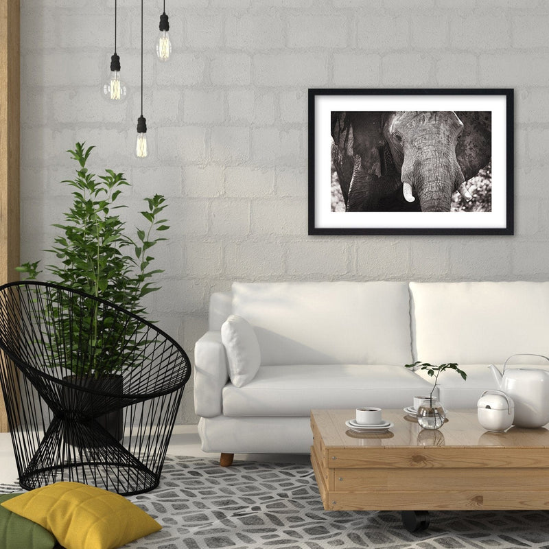 Glezna melnā rāmī - Black-And-White Elephant  Home Trends