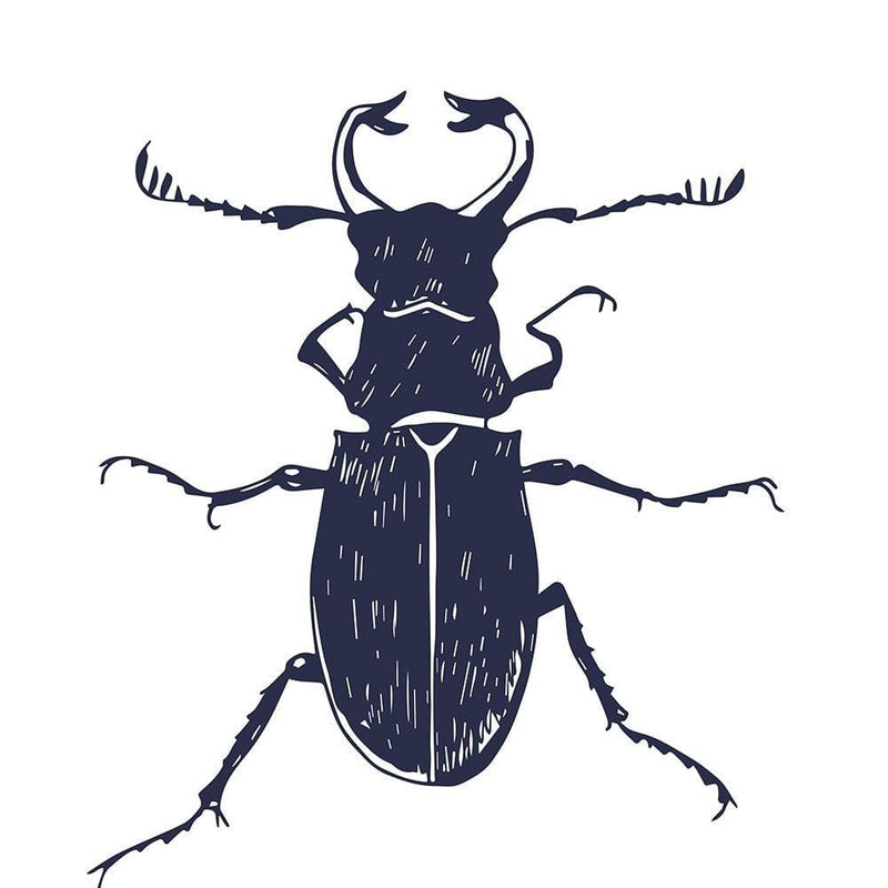 Glezna melnā rāmī - Black Beetle  Home Trends