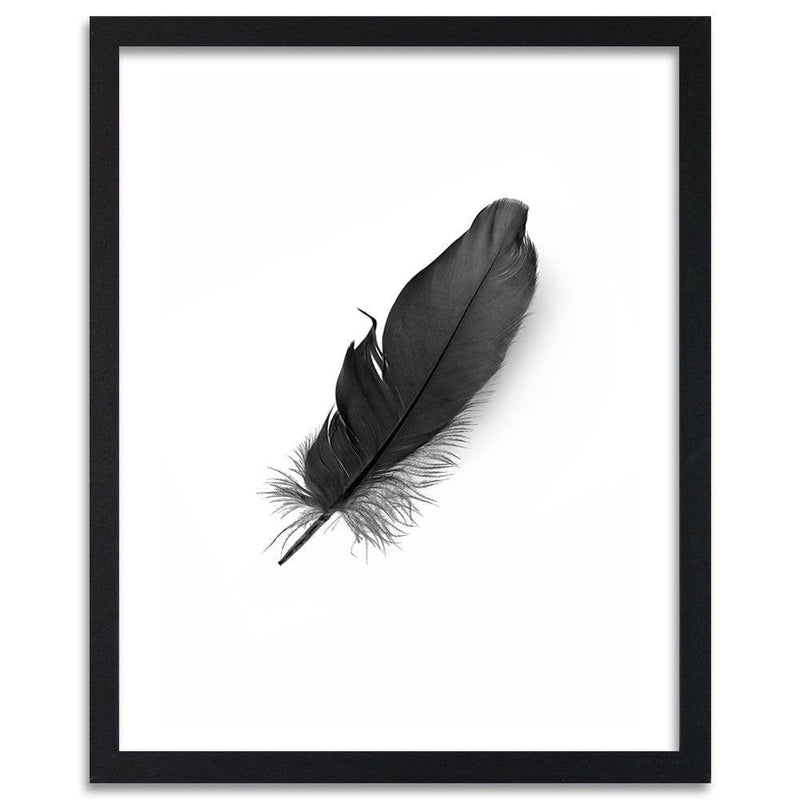 Glezna melnā rāmī - Black Feather  Home Trends