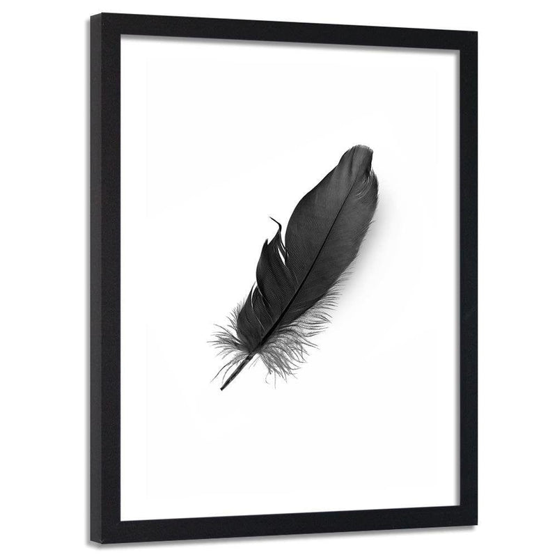 Glezna melnā rāmī - Black Feather  Home Trends