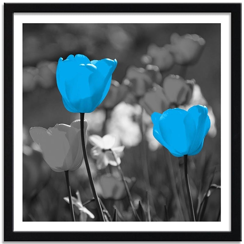 Glezna melnā rāmī - Blue Tulips On A Meadow  Home Trends