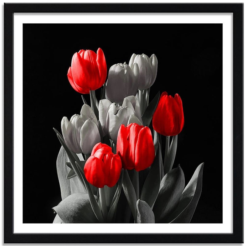 Glezna melnā rāmī - Bouquet Of Red Tulips  Home Trends