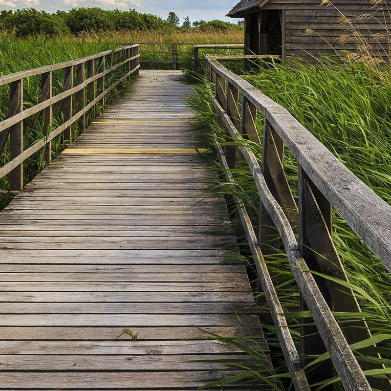 Glezna melnā rāmī - Bridge And Old Hut  Home Trends