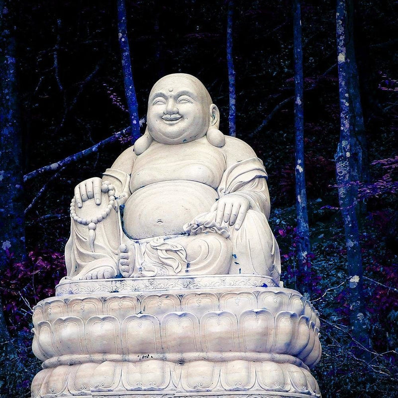 Glezna melnā rāmī - Buddha In The Forest  Home Trends