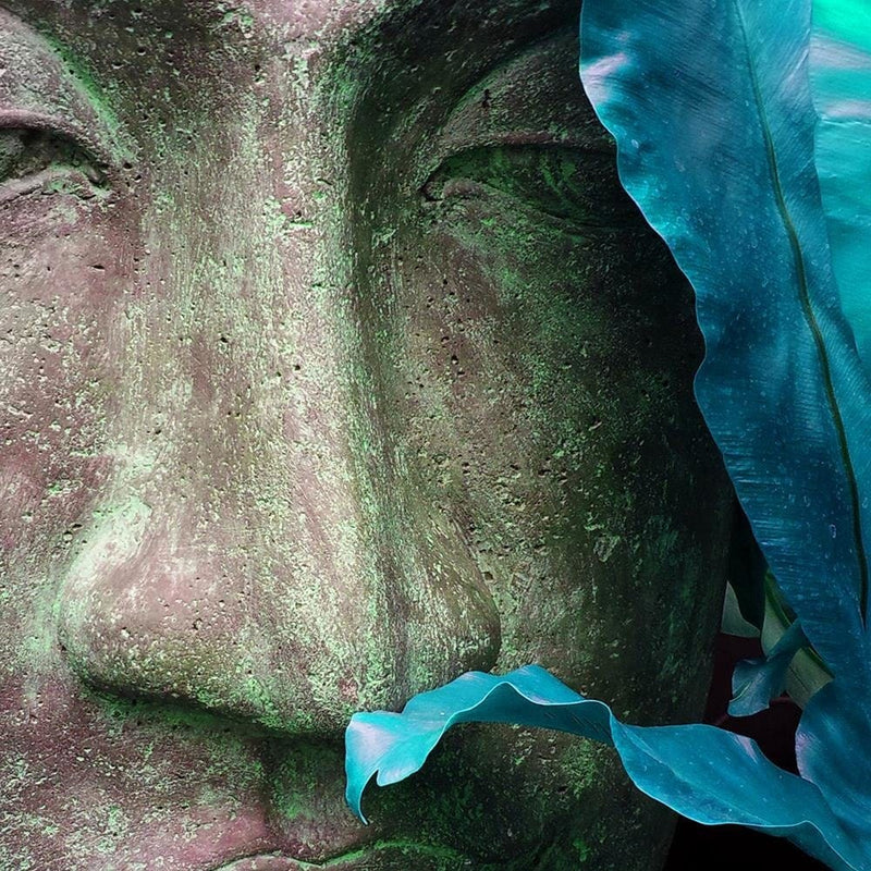 Glezna melnā rāmī - Buddha's Face With Leaf  Home Trends