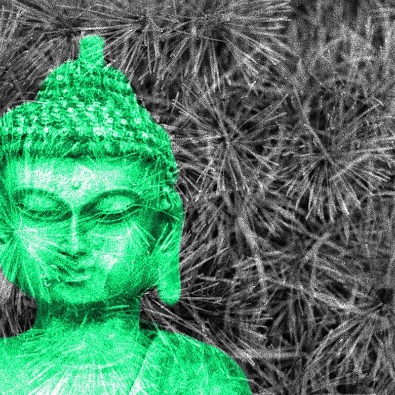 Glezna melnā rāmī - Buddha Sculpture  Home Trends