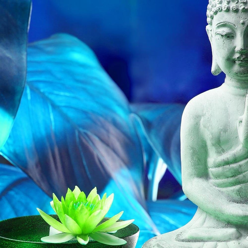 Glezna melnā rāmī - Buddha With Lily  Home Trends