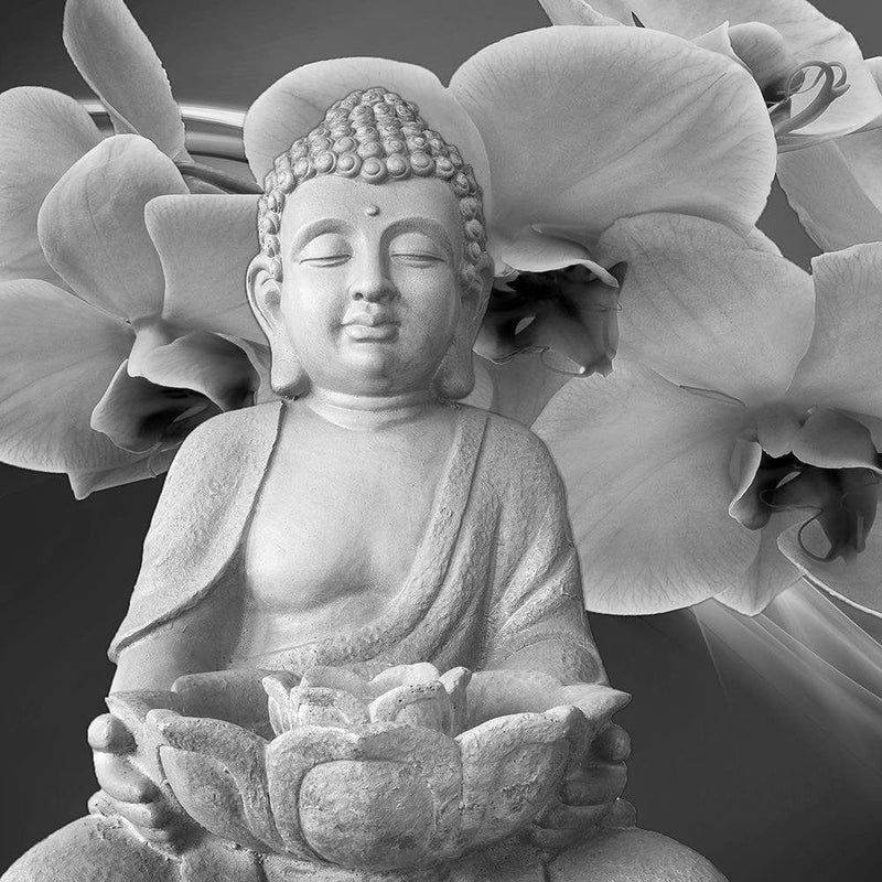 Glezna melnā rāmī - Buddha With Orchids  Home Trends