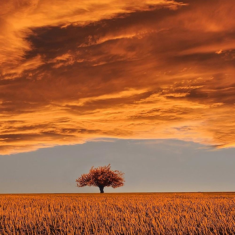 Glezna melnā rāmī - Clouds Over The Field  Home Trends